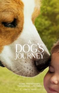 Dostumun Yolculuğu - A Dog's Journey