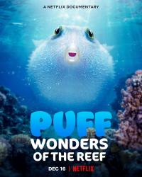 Baloncuk: Resifin Mucizeleri - Puff: Wonders of the Reef