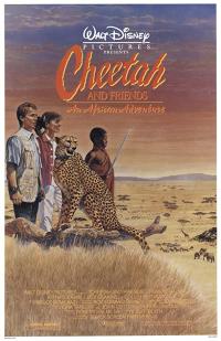 Çita - Cheetah