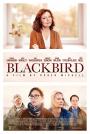Blackbird (La decisión)