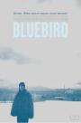 Mavi Kuş - Bluebird