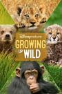 Vahşi Büyüyenler - Growing Up Wild